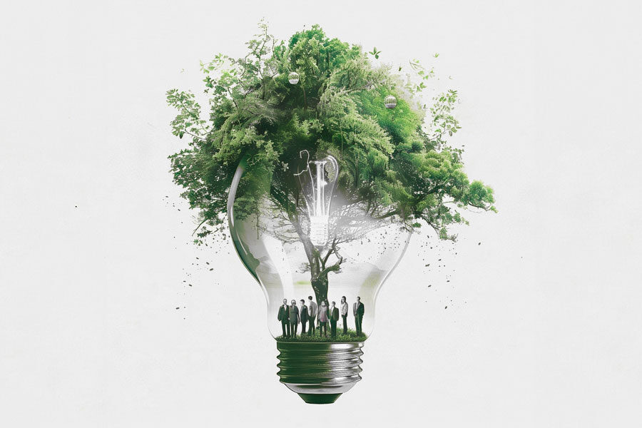 Capacitación verde: formación sostenible en la empresa